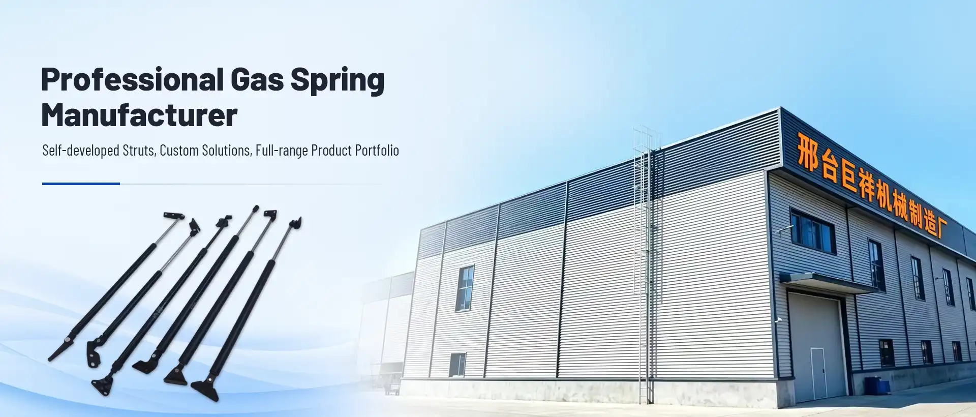 Professional Gas Spring Manufacturer